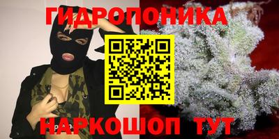 шишки Бузулук