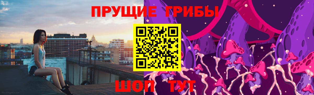 Курчатов  Псилоцибиновые грибы мухоморы  купить   Вход с VPN  Псилоцибиновые грибы Cubensis 
